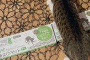 【朗報画像】猫よけマットを買ってみたんだけど敷く前から効果ないのわかりました