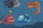 深海魚が水圧で潰れない理由を聞いた結果ｗｗｗｗ