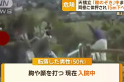 【日本三景】天橋立　転落事故によりこうなる「股から見える景色がこれなの何？」