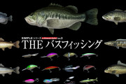 【朗報】『SIMPLEシリーズ for Nintendo Switch Vol.3 THE バスフィッシング』が6月16日に発売決定！！ロッド＆リール操作をJoy-Conの体感操作＆HD振動で表現