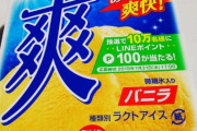 わいアイスクリーム担当大臣、最強のアイスは”爽”であると閣議決定