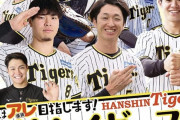 【朗報】阪神、イケメン若手が多すぎて「プロ野球ai」の特集を組まれてしまうｗｗｗｗｗｗｗｗｗ