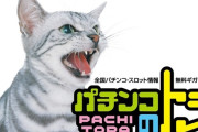 パチンコのトラが2025年12月末でサービス終了