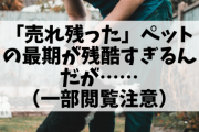 【一部閲覧注意】「売れ残った」ペットの引き取り屋が残酷すぎる件……。