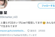【悲報】真っ当に就職したはずの元チーム8の佐藤栞さん、欲しいものリストを公開してしまうwww【総額40万以上】