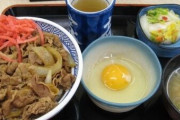 【画像】日本人「日本では牛丼に生卵をかけて食うんだぜ」外国人「ファッ！？」
