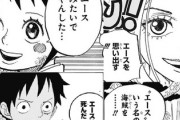 ルフィ「覇気も使えねぇ実の覚醒もしてねぇ、自然系の能力頼り、エース、お前この3年間なにやってたんだ？」