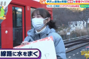 【日向坂46】クイズ王伊沢さん、ひなあいで箱根修学旅行どうでしょうか？