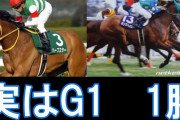 G1レース1勝なのにネームバリューがデカい馬