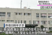 【悲報】警察官さん、包丁を持って襲いかかってきた精神患者を撃ち殺すうっかりミス