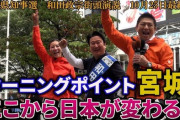 【悲報】和田政宗さん、負けた途端に自民党に処分を検討される