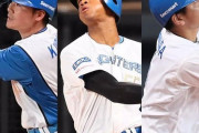 日ハム野手（24歳前後）←こいつらが年々強くなっていくという事実