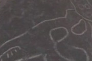 ナスカの地上絵　新たに発見　丘にネコ科の動物