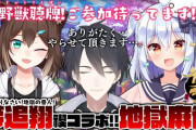 夢追翔おかえり禊コラボが実施！Wたまきと野獣聴牌……？【Vtuber】
