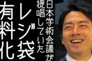レジ袋の有料化、日本学術会議の提唱がきっかけだった・・・