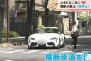 なぜ一時停止できない？横断歩道の手前で“止まらない車”が多過ぎる ドライバーの本音は？ 違反点数２点・反則金9000円なのに…