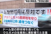 静岡の新球団、ウミガメ保護の観点から大反対される