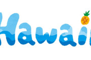 【ハワイだヨ全員集合】マクドナルドの新商品 wwwww