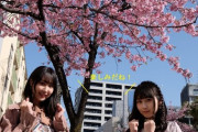 【SKE48】井上瑠夏、野村実代が早咲きの桜として有名な「オオカンザクラの並木道」を訪れる！