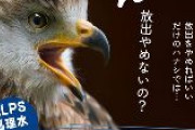 日本共産党「Stop Fukushima Water Release Now」