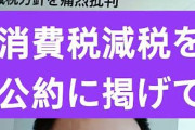 じゃあ減税が正解だな　〜　玉川徹氏「河野太郎さんの主張に全面的に賛成でまったくおっしゃる通りです。消費税減税はやめろ」