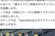 阪神、台湾野球式応援を導入　「加油！（ジャーヨウ）虎隊（トラタイ）ステージ」と命名したステージを設置