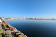 【画像】久々に朝市来た