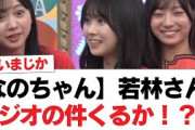 【なのちゃん】若林さん、ラジオの件くるか！？w【日向坂46・日向坂で会いましょう】