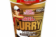 【悲報】カップヌードルのあの味、カップヌードルの面汚しだった