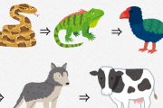 ヘビ　→ トカゲ　→ 怪鳥　→ オオカミ犬　→ 子牛（New!!）