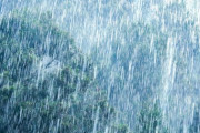 【悲報】雨、ガチでヤバい…こちらの映像をご覧ください