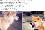 千円払うが、ワイの死んだ愛犬が戻ってくるボタン