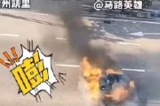 【恐怖】中国EVが突然発火し炎上爆発　一体なぜ？