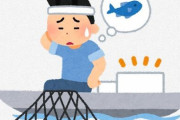 ノルウェー「漁船ごとに獲れる魚の量を決めるぞ」日本「日本全体で獲れる魚の量を決めるぞ」→結果…ｗ