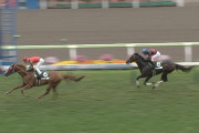 【競馬】マイネルミラノってGⅠでも通用すると思う？