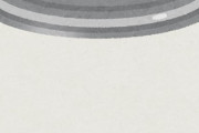 【意味不】わい、訳の分からないものを買ってしまう
