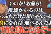 DeNA今永が自主トレ公開「天草のイルカのように」