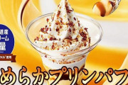 販売数No.1のミニストップ「プリンパフェ」が今年も登場！期間限定だからプリン好きは急げええええ