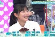 【日向坂46】『ひなあい』年始一発目はどんな企画だよｗｗｗｗｗｗｗｗ