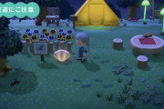 【あつまれどうぶつの森】照明系の家具を外に置いても夜周りが明るくなるとかなさそうなのが残念！