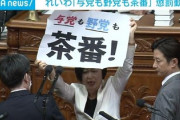 【与党も野党も茶番！叫び】れいわ・櫛渕万里議員への懲罰動議が可決「除名・登院停止・陳謝・戒告」4段階