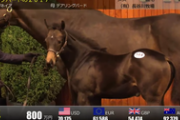 【競馬】デアリングタクトの母馬、388万円