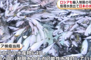 ロシアが日本産水産物の禁輸を検討、中国の措置に参加…輸入量は118トン！