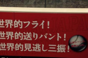 稲葉「プレミア12で優勝したのにパレードしてもらえない。危機感がある」