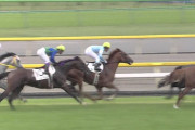 快速馬←イメージした馬は？