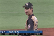 杉浦稔大(29) 53登板 2.73 2勝2敗27S K/BB3.05 WHIP1.03