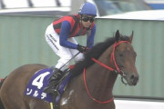 【競馬】ソルテって何で中央馬相手に通用してるの？？