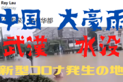 【速報】中国の記録的な豪雨で『武漢水没』新型コロナ発症の地