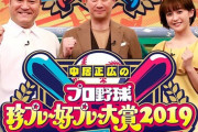 今夜のプロ野球珍プレー好プレー大賞2019ｗｗｗｗｗｗｗｗ