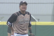 【悲報】日ハム渡邉、2軍でもやらかす…